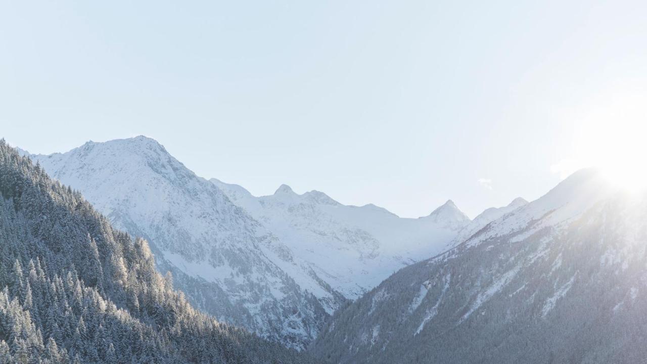 Haus Gleinser - Neustift Im Stubaital Exterior foto